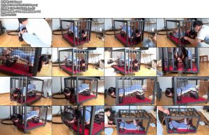 [WN原创] 超高速sp调教美少女人形犬欣妍，口水囚徒，铁笼监禁完全固定！-丝依依