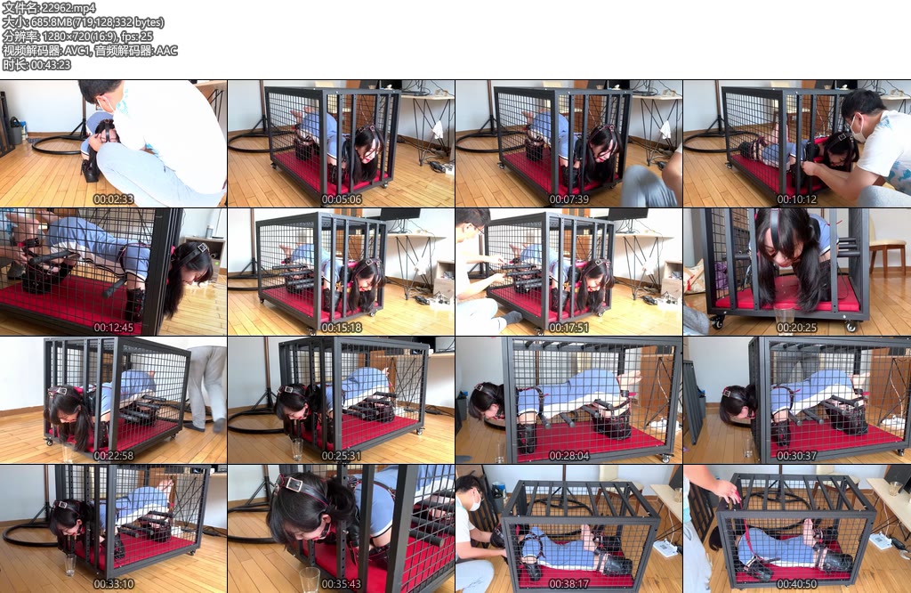 [WN原创] 超高速sp调教美少女人形犬欣妍，口水囚徒，铁笼监禁完全固定！-丝依依