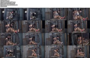 [胜景影视] 逃脱术（中）-丝依依