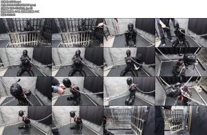 [D-Lemon] 10分ラバー人形マスクX_X責めcomplete plan-丝依依