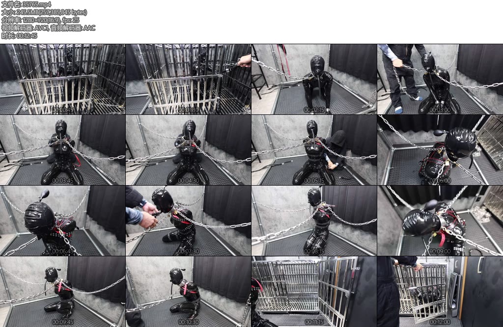 [D-Lemon] 10分ラバー人形マスクX_X責めcomplete plan-丝依依