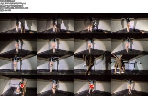 [欢乐谷] 深夜天台上的十字架-丝依依