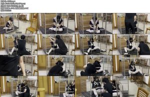 [缚予原创] 调教师日记之特殊少女改造记2笼子关押白丝ZD棒乖乖女学生小X被锁着手脚睡觉醒来后在感觉到刺激和满足的同时也有些累和厌倦于是计划逃离这里但是她能否成功呢失败的代价又是什么呢-丝依依