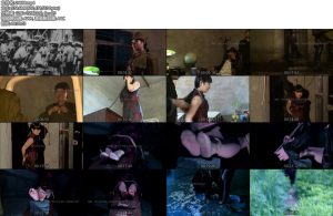 [丽佳美苑] 谍战剧潜伏之谍影重重-丝依依