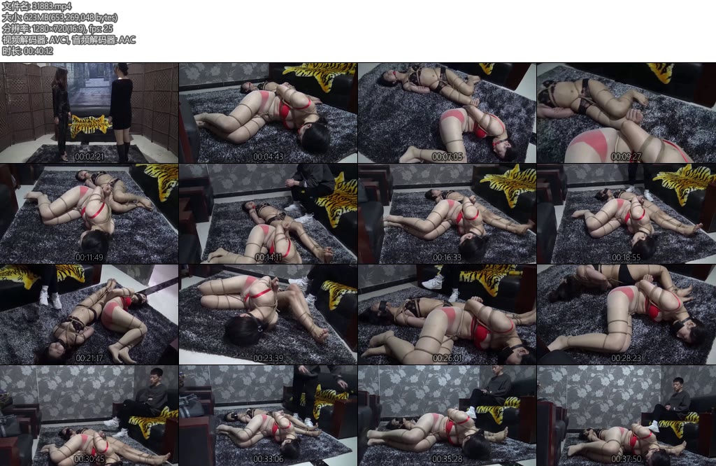 [胜景影视] 古玩家秘密（第一集）-丝依依