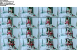 [安妮原创] 鸟语花香蝴蝶纷飞春天的气息-丝依依