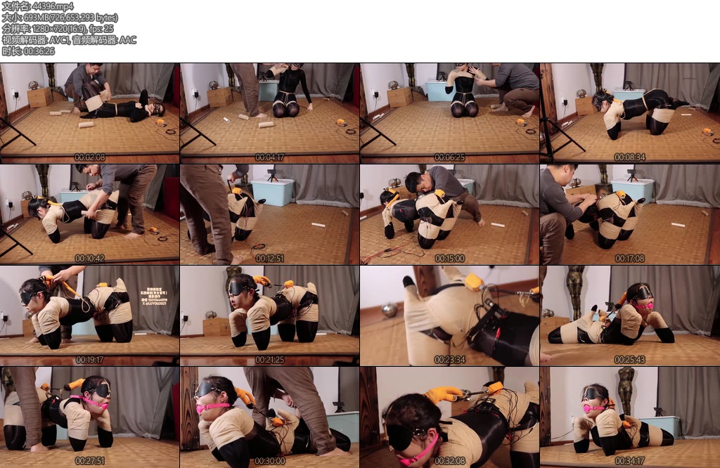 [路由原创] 新模小月郊狼电控犬缚工作室的黑科技升级了-丝依依