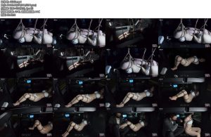 [半岛束艺] 海语车身物理稳定系统-丝依依