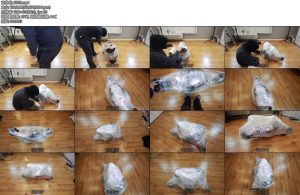 [D-Lemon] マミー梱包呼吸制御-丝依依