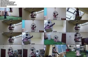 [半岛束艺] 落叶笼震-丝依依