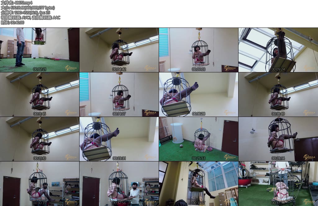 [半岛束艺] 落叶笼震-丝依依