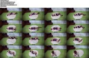 [亚洲绳艺] 注意です水着の伸縮性-丝依依