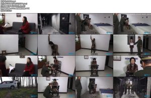 [MJ影视] 难忘的经历-丝依依