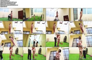 [半岛束艺] 钢管还可以这么用-丝依依