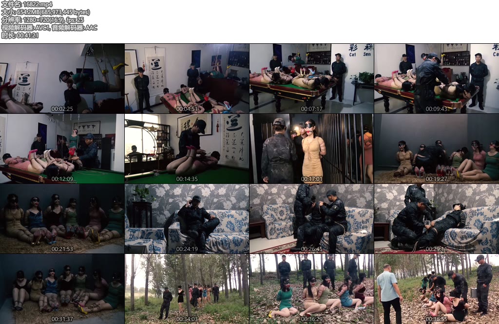 [胜景影视] 落难姐妹（第十五集）-丝依依