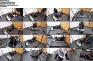 [D-Lemon] ヒトイヌ拘束散歩complete plan-丝依依