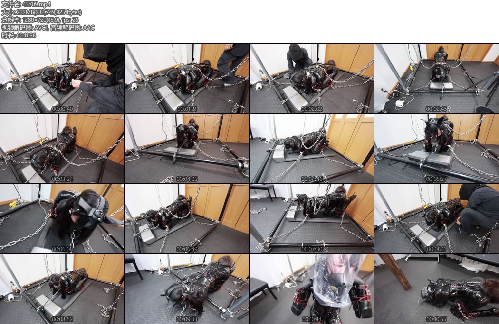 [D-Lemon] ヒトイヌ拘束散歩complete plan-丝依依