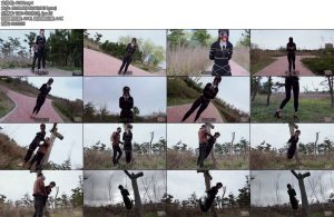 [半岛束艺] 波雅枯藤老树波鸦-丝依依