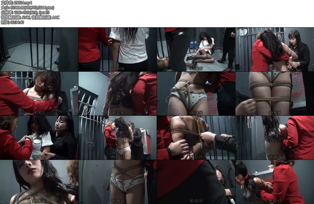 [新雅俗阁] 女J历险记（第三集）-丝依依