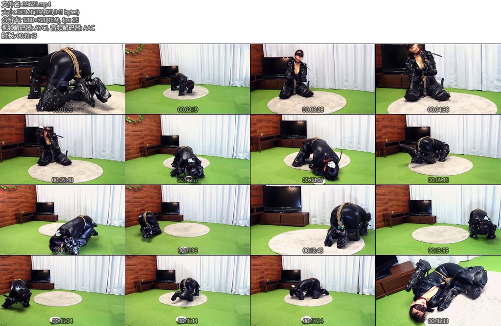 [亚洲绳艺] ヒトイヌ調教バイブ遊びとごはんの時間-丝依依