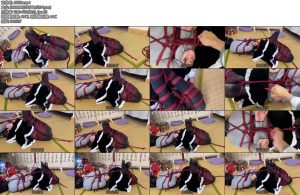 [亚洲绳艺] 小m的驷马紧缚后庭体验-丝依依