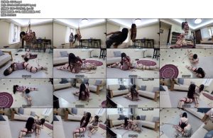 [半岛束艺] 佟司佟镜摇妹把自己摇晕的姐姐-丝依依