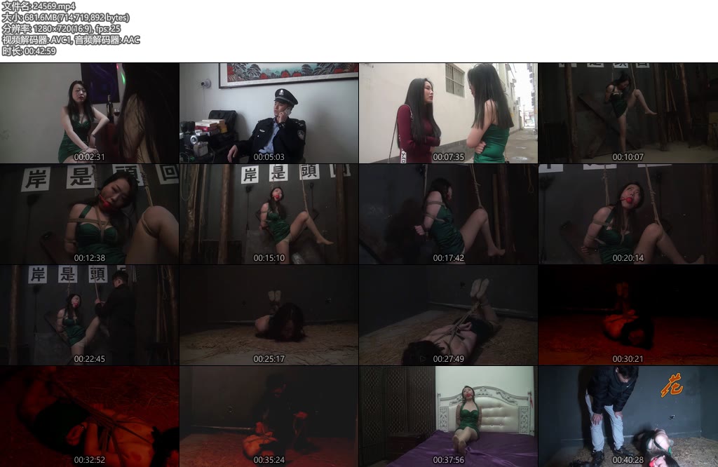 [胜景影视] 缉毒风云2（完整版）卧底刘青获救-丝依依