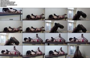 [半岛束艺] 泽爱送上门的礼物他不要-丝依依