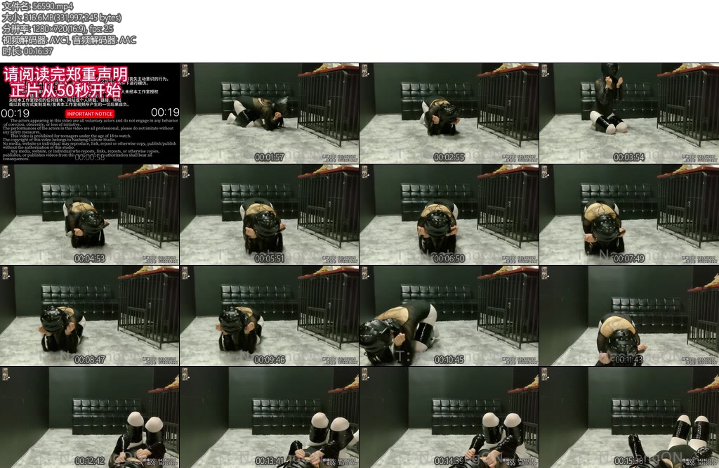 [娜绳原创] 静静体验K9-丝依依