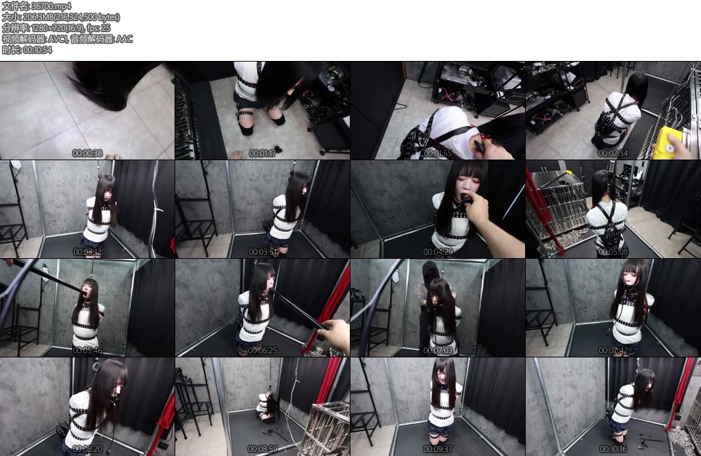 [D-Lemon] 10分制服拘束吊り上げイラマ調教complete plan-丝依依