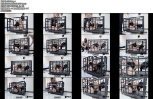 [缚心室] house of gord兔笼复刻肉丝女学生强制抬头肛钩提臀完全无法动弹郊狼电击炮机输出全身疯狂颤抖-丝依依