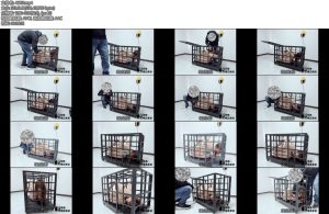 [冥想原创] 夕夕完美复刻houseofgord兔笼第三期175逆天大长腿与狭小笼子的对抗-丝依依