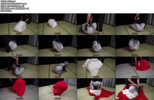 [象人原创] 嗷嗷一种很新的包裹方式渔网棉被麻袋-丝依依