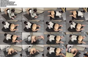 [眼眸原创] 金属K9固定跑机电击ZDB133-丝依依