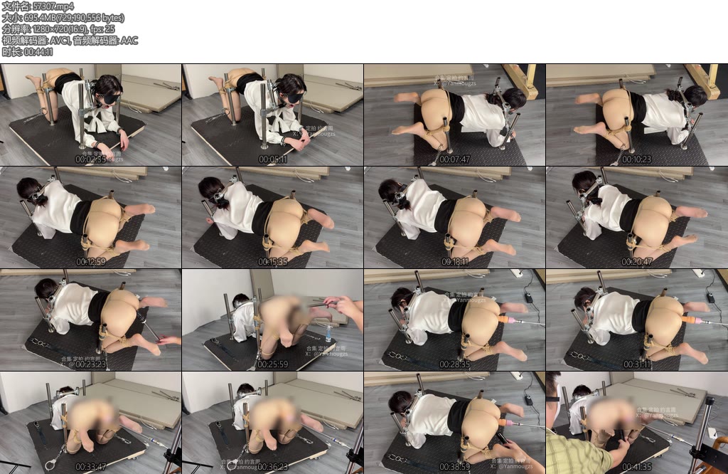 [眼眸原创] 金属K9固定跑机电击ZDB133-丝依依