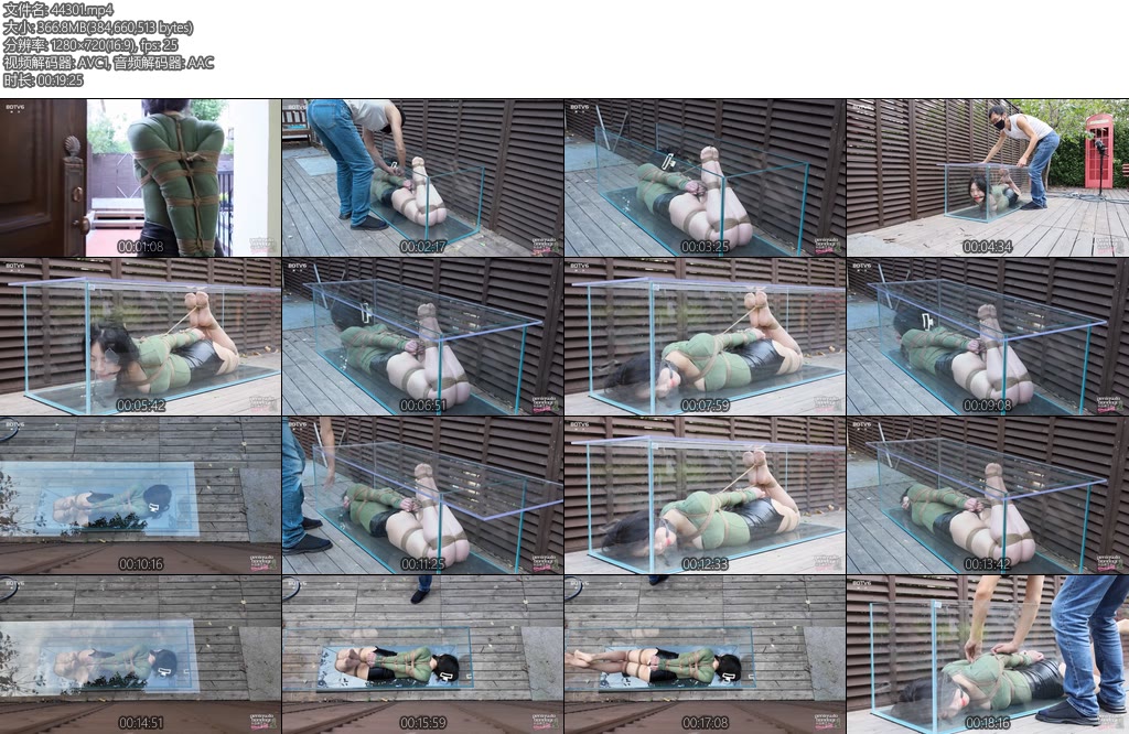 [半岛束艺] 海语不干了养鱼了-丝依依