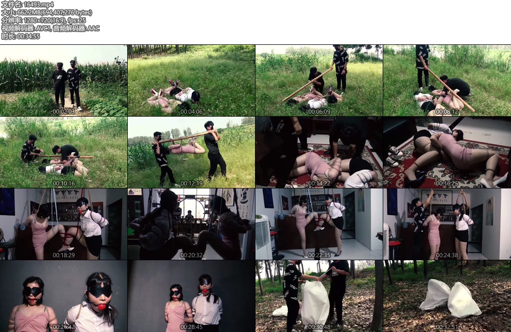 [胜景影视] 连续剧落难姐妹（第四集）-丝依依