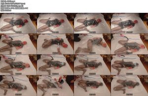 [云朵的云] 小m（第五期）真空袋-丝依依