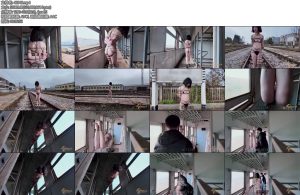 [半岛束艺] 落叶欢迎乘坐2663次列车-丝依依