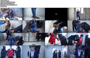 [结绳而治] 无谓的抗拒-丝依依