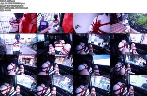 [D-Lemon] 野外緊縛ドライブ-丝依依