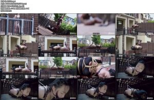 [半岛束艺] 星星代表我的坑~奎因-丝依依