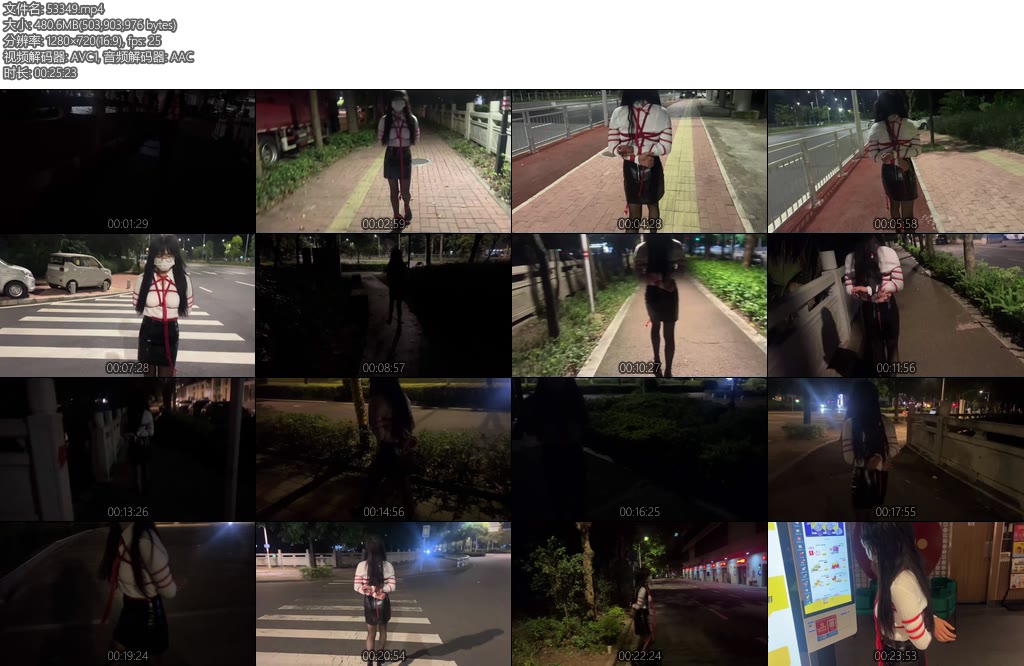 [桃花岛] 麦当劳捆绑和店员小姐姐互动户外包臀裙黑丝高跟捆绑外出下集-丝依依