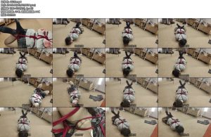 [球球原创] 球球带锁的改良龟甲逆海老缚放置-丝依依