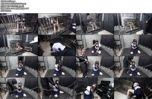 [D-Lemon] 10分監禁電気イラマ調教complete plan-丝依依