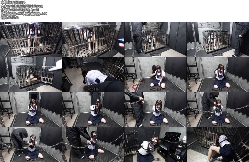 [D-Lemon] 10分監禁電気イラマ調教complete plan-丝依依