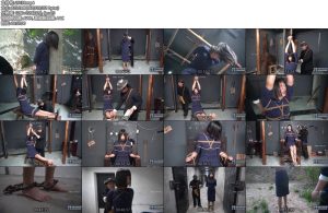 [MJ影视] 血洒黎明-丝依依