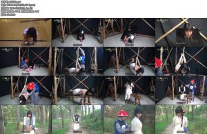 [一绳有你] 屈妇斩首 打板子戴木枷脱衣直臂驷马吊堵嘴挠痒屈滴蜡打成招的王李氏户外刑场斩首比窦娥还冤的一桩惨案-丝依依