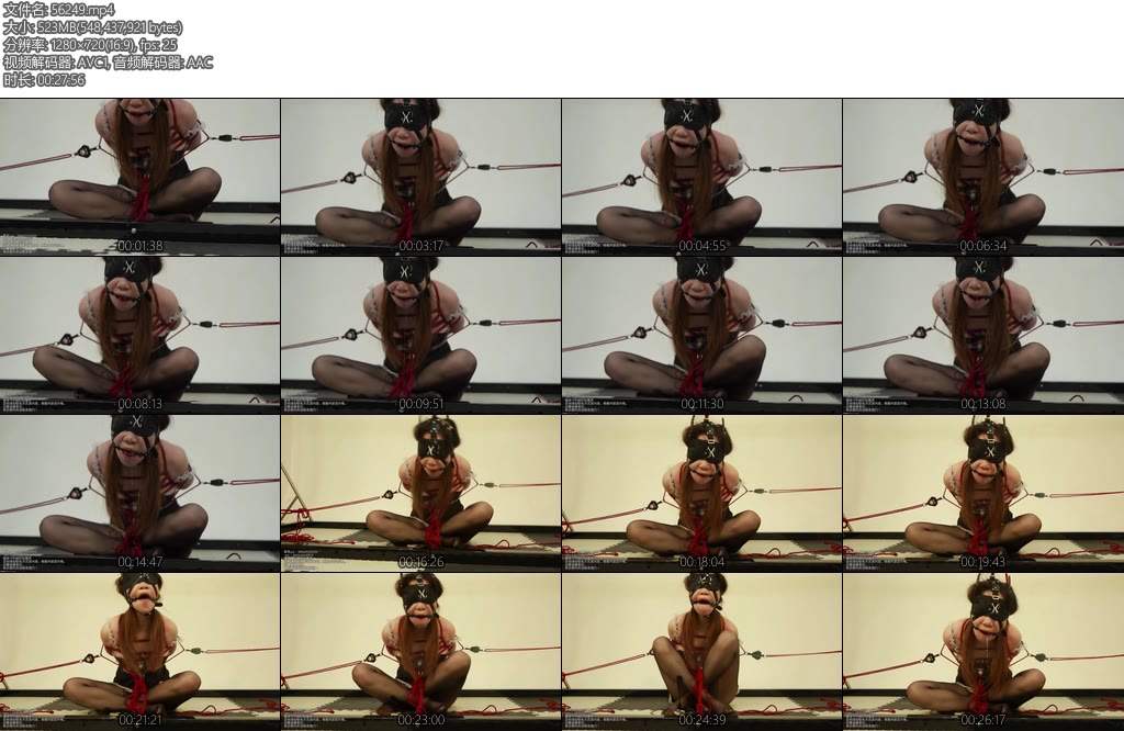 [四季屋] 女仆海老缚放置调教海老缚郊狼电击棒子狂震马具口枷郊狼100到140随机强度并且持续升高少女最后被折磨到高潮液体遍地-丝依依