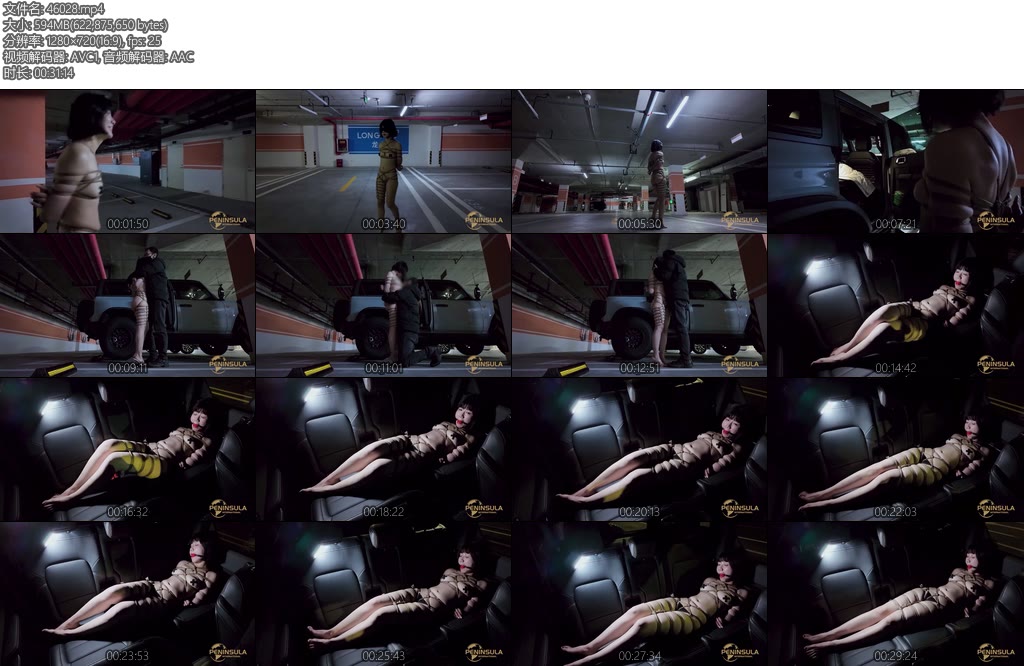 [半岛束艺] 落叶逛车库上瘾的落叶-丝依依